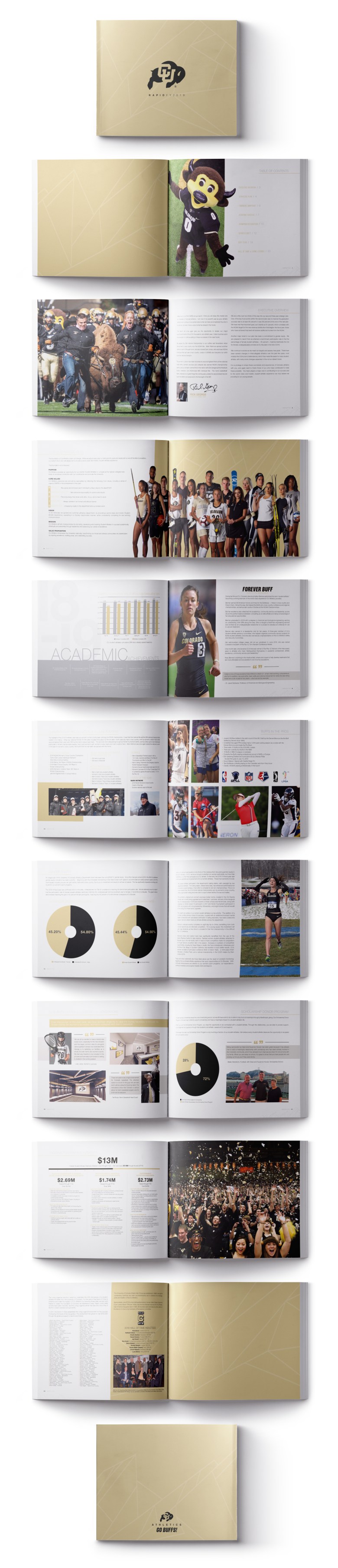 RAPID REPORT MOCKUP 1920